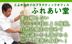 豊川 豊橋 整体 とよかわカイロプラクティックオフィス ふれあい堂